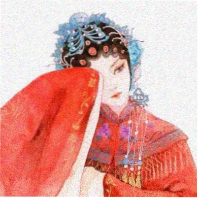 李小冉
